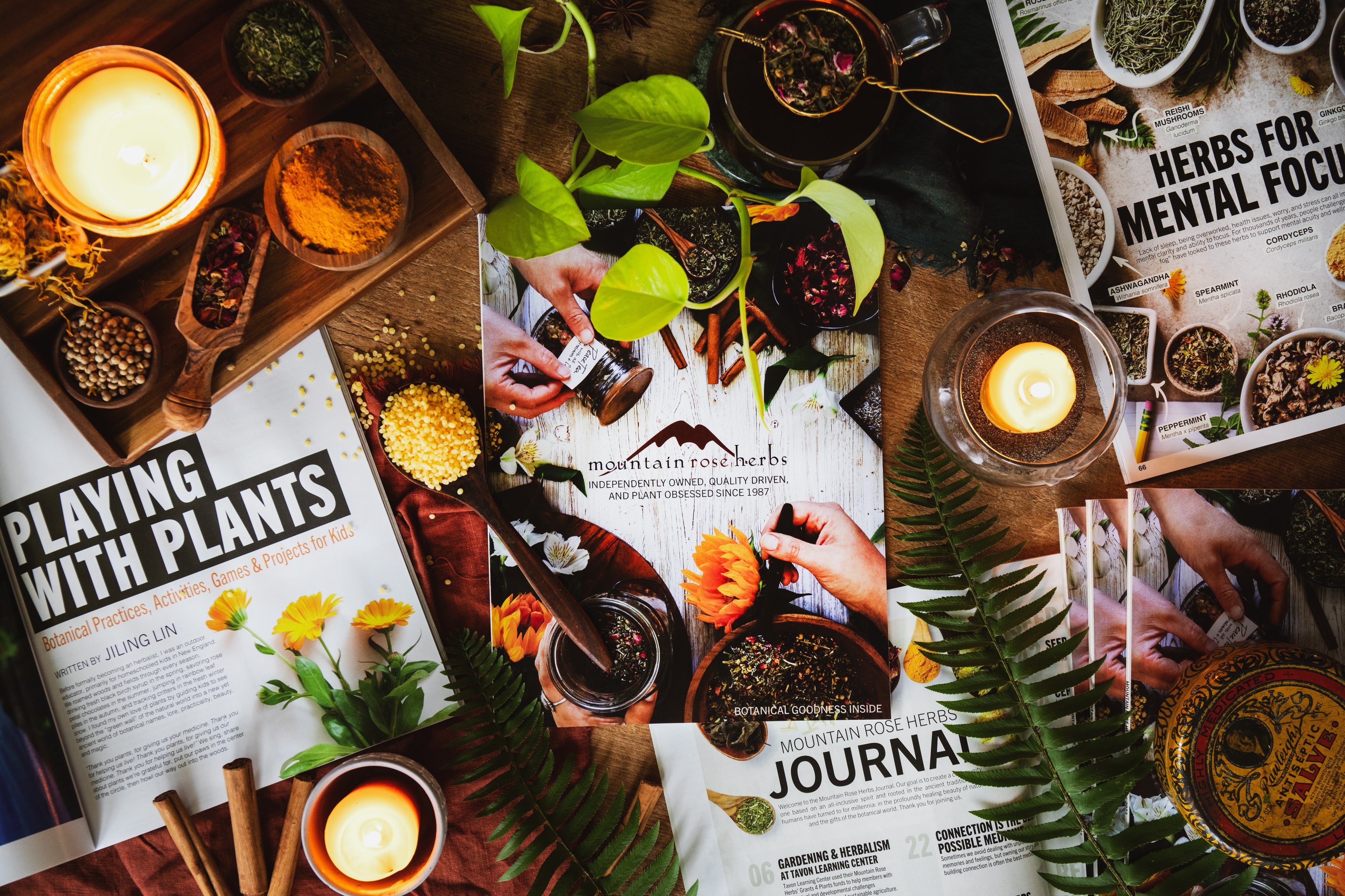 2023 A Year In Review for Mountain Rose Herbs